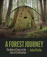 A_forest_journey