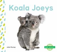 Koala_joeys