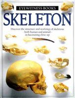 The_skeleton