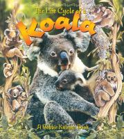 The_life_cycle_of_a_koala