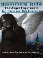The_Angel_Experiment